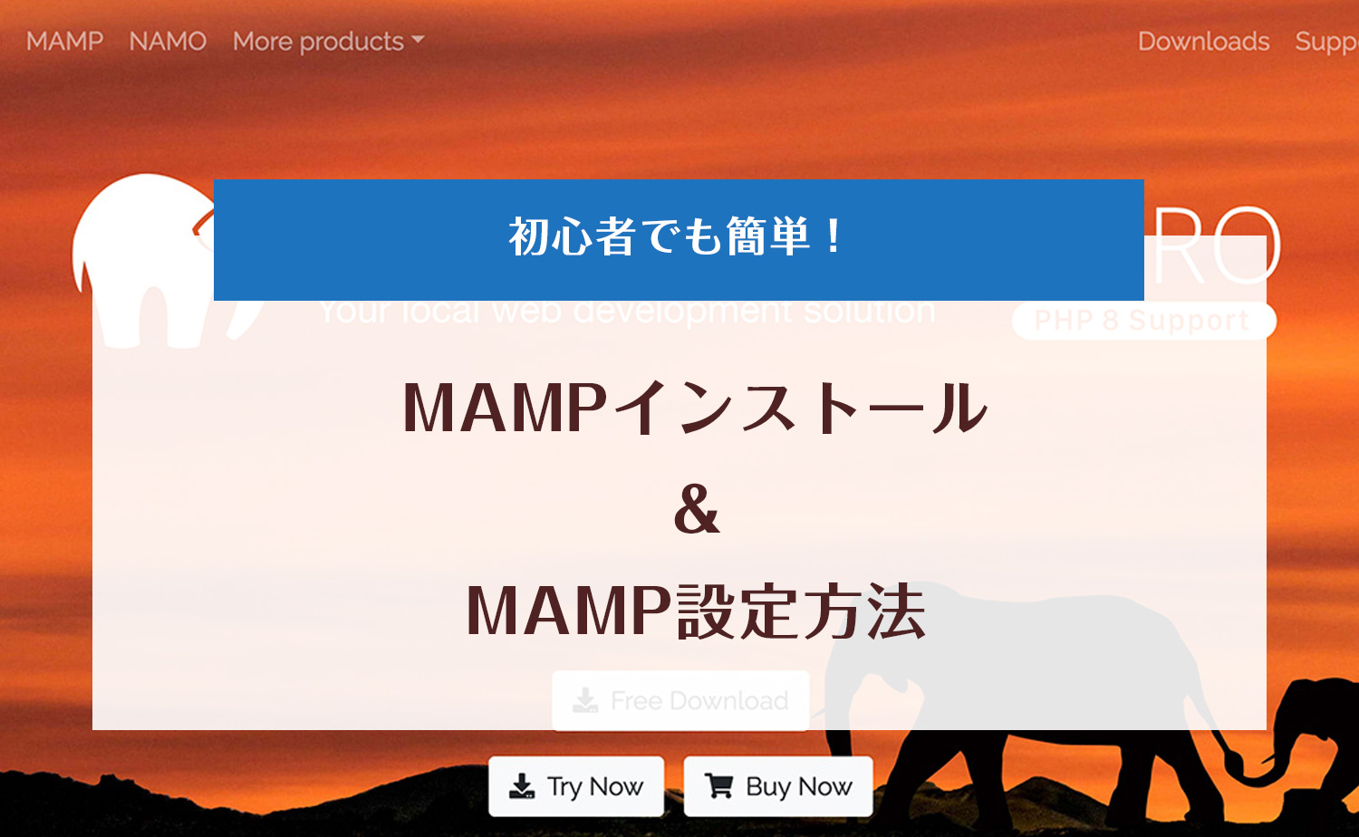 MAMPインストール＆設定方法